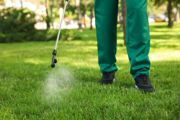Best Wasp Removal Services  in Cross Plains, TN